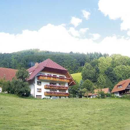 Geigerbauernhof Apartamento Mühlenbach Exterior foto