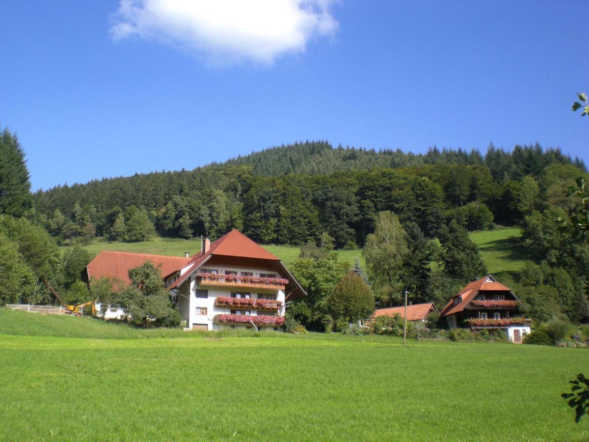 Geigerbauernhof Apartamento Mühlenbach Exterior foto