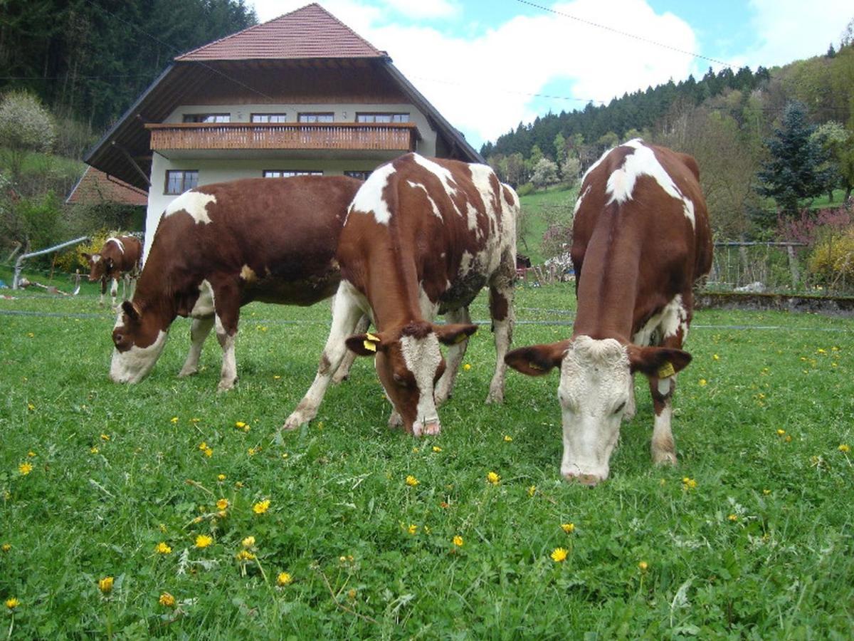 Geigerbauernhof Apartamento Mühlenbach Exterior foto