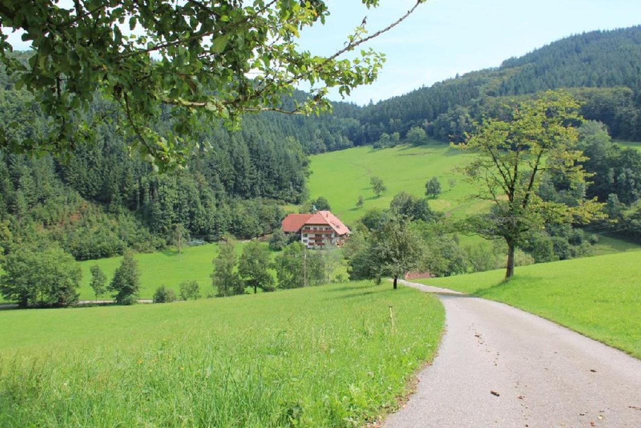 Geigerbauernhof Apartamento Mühlenbach Exterior foto