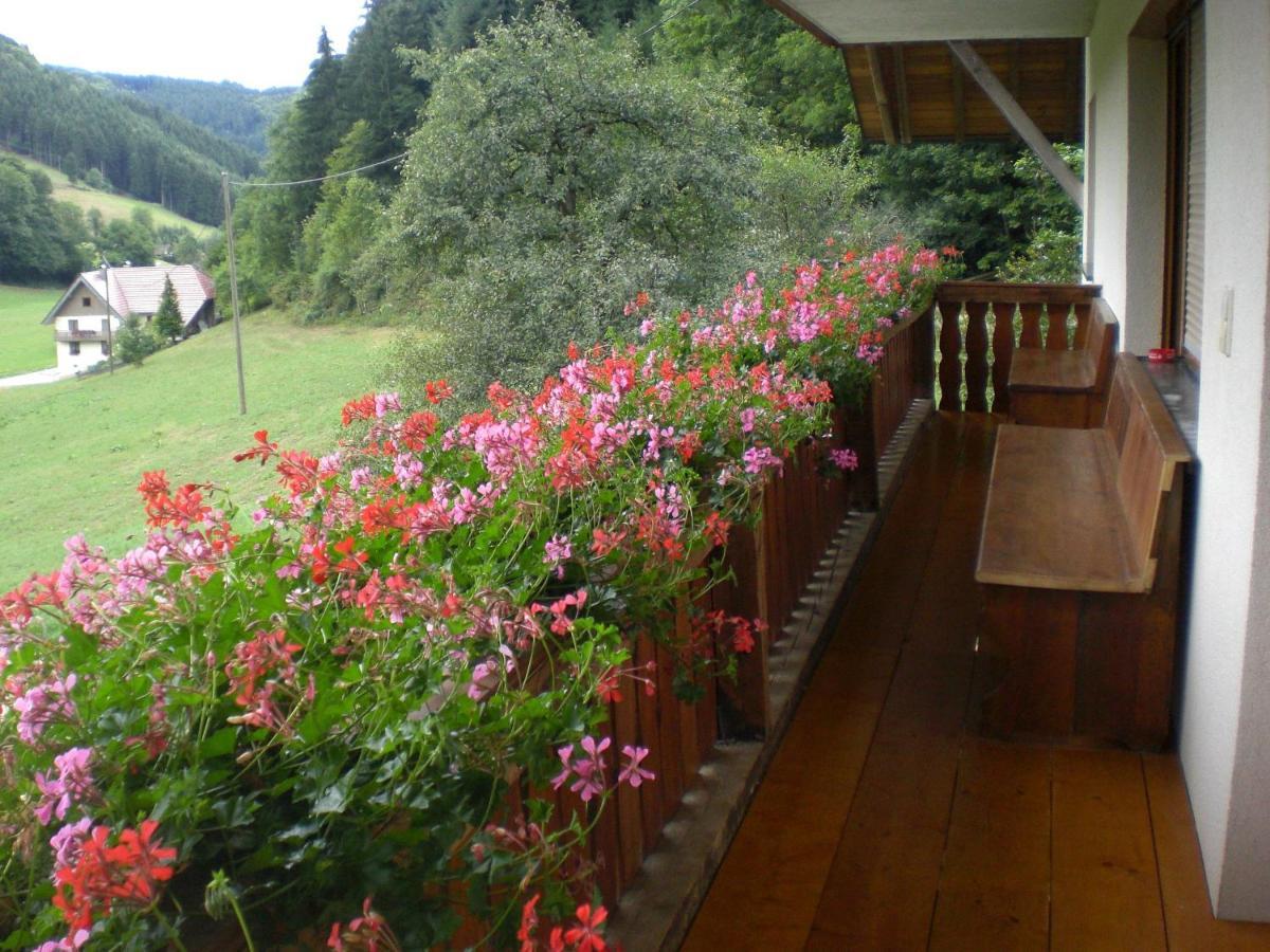 Geigerbauernhof Apartamento Mühlenbach Exterior foto