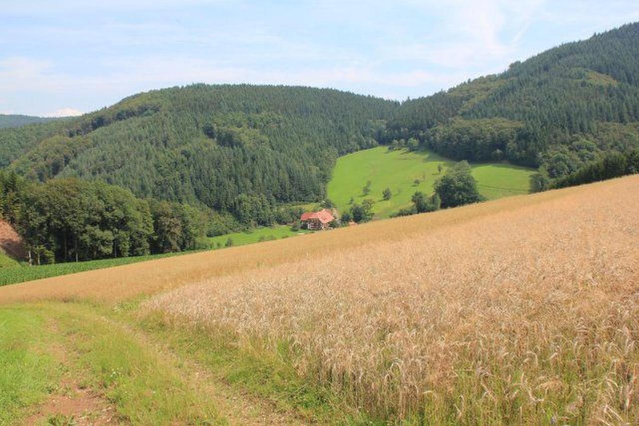 Geigerbauernhof Apartamento Mühlenbach Exterior foto